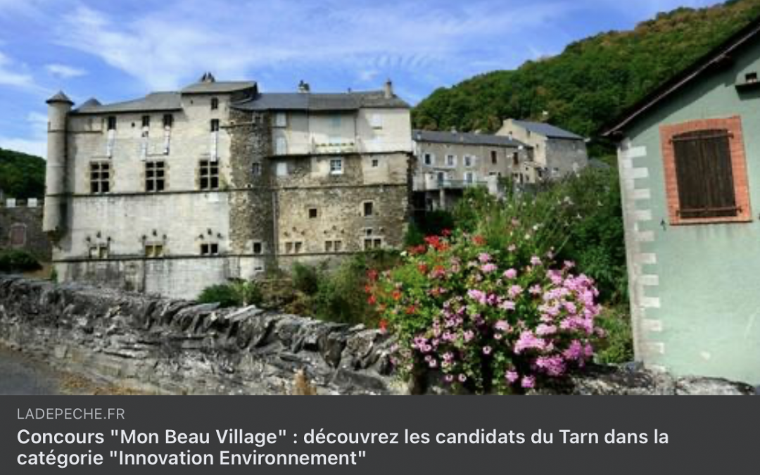 Mon Beau Village