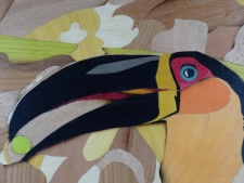 L’œil du Toucan